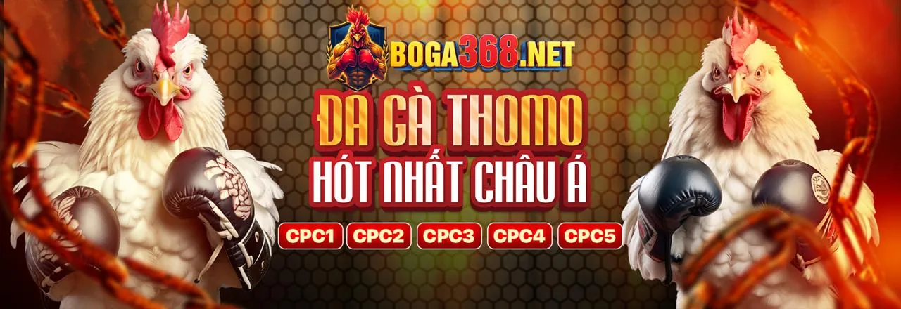 Hình ảnh chính: Bảo mật liên kết vn582